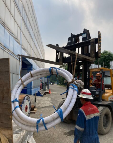 WhatsApp Image 2026-01-25 at 09.52.39